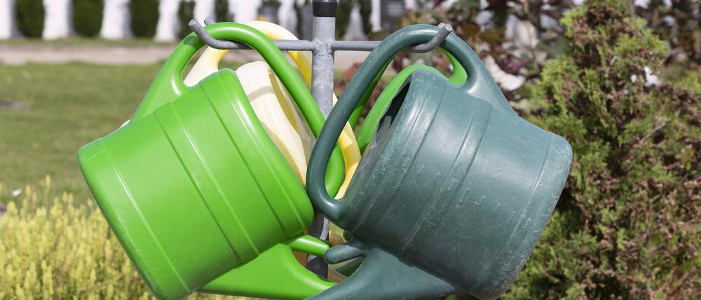 Gießkannen *** Watering cans 1065526393 