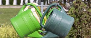 Gießkannen *** Watering cans 1065526393