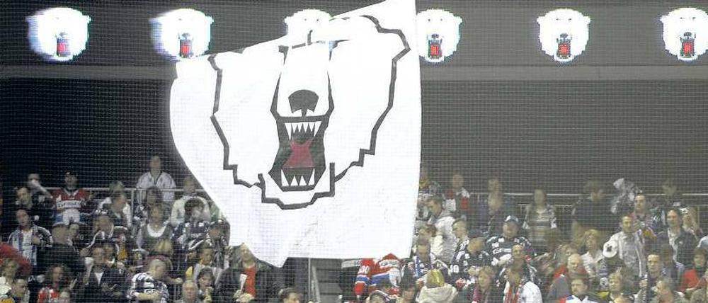 Unter dem Zeichen des Eisbären. Die treuesten Berliner Anhänger feuern ihre Mannschaft von der Stehplatztribüne aus an.