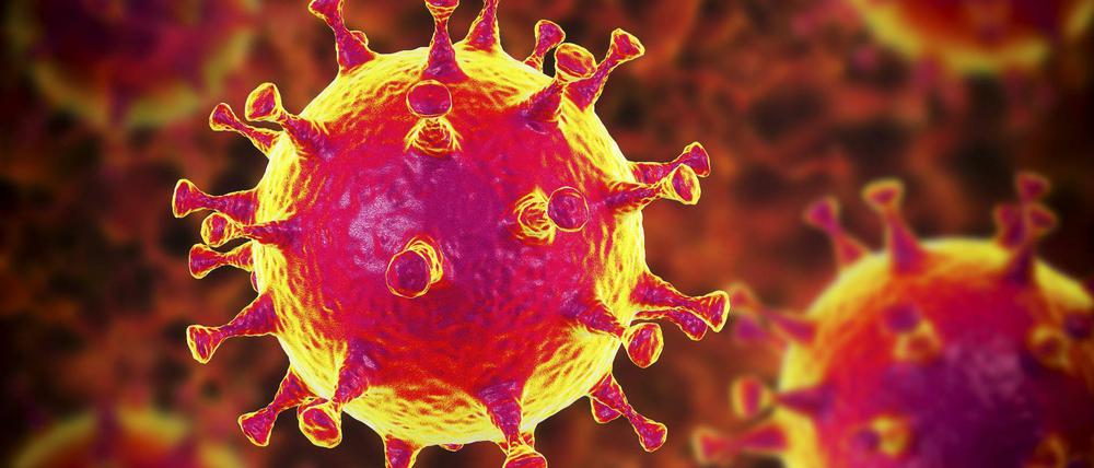 Coronavirus