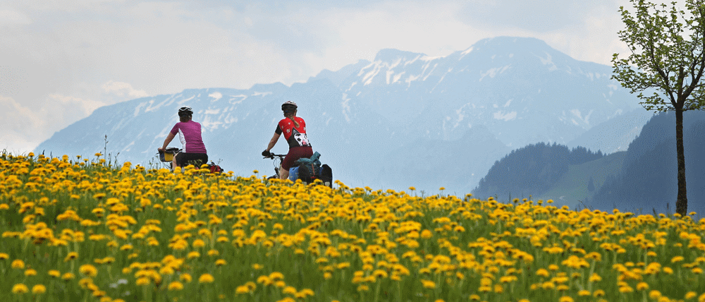 Radtour durchs Gelb-Grüne