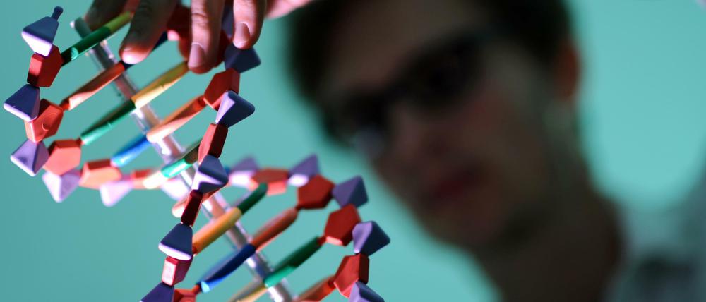 DNA-Modell