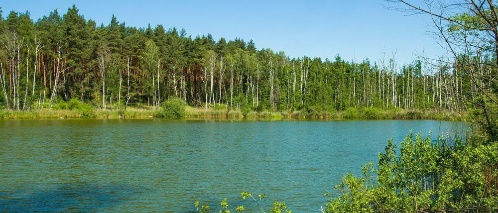 Seenlandschaft in der Uckermark nahe Templin