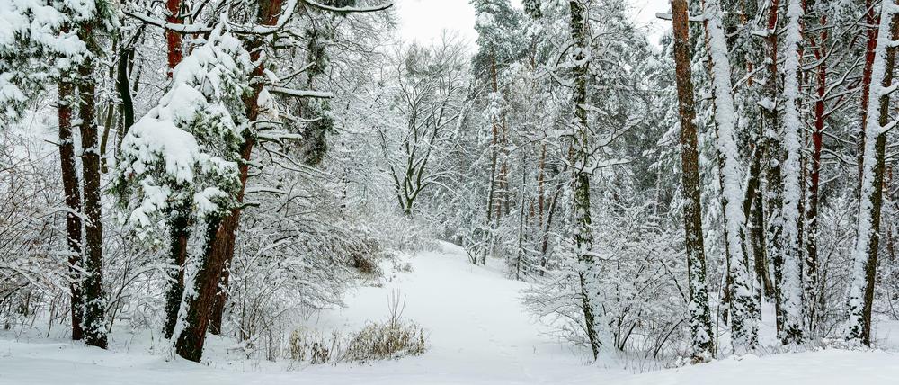 Winter.
