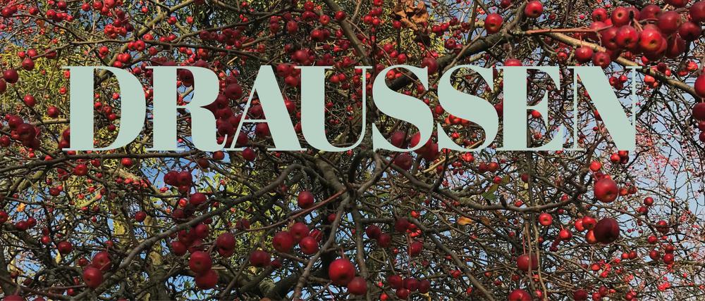 DRAUSSEN Tagesspiegel.