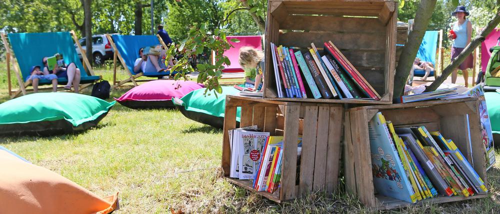 Bücherpicknick im Potsdamer Volkspark (klaer)