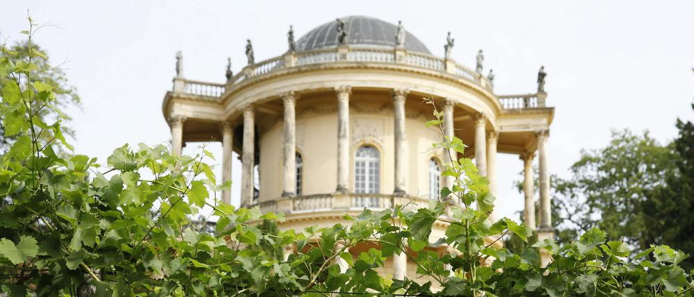 Winzerberg, Klausberg, Belvedere, Potsdam, 17.09.2018 Foto: Sebastian Gabsch PNN