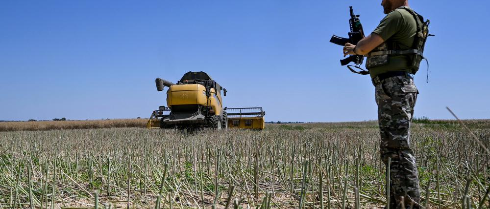 Ein Soldat steht während der Erntezeit in der Ukraine auf einem Feld.