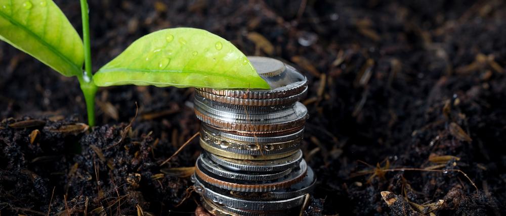 Wie stellt man sicher, dass das Geld in nachhaltige Anlagen fließt?