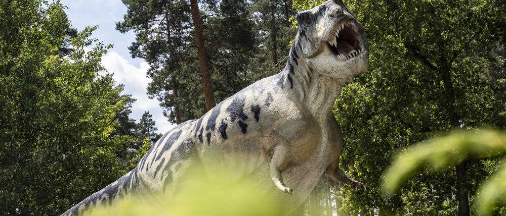 Groarrr! Dieser wilde Dinosaurier erwartet die Besucher schon am Parkplatz.
