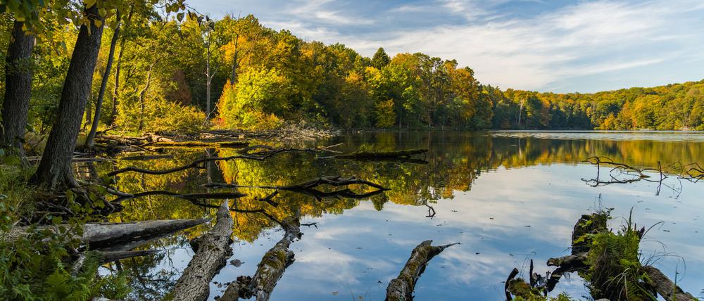 Fast noch schöner als im Sommer: Der Herbst macht sich breit im Land.