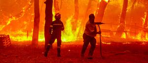 Mittlerweile brennen am Mittelmeer jeden Sommer die Wälder, wie hier auf der griechischen Insel Lesbos. Aber auch in Deutschland wächst durch Trockenheit die Brandgefahr.