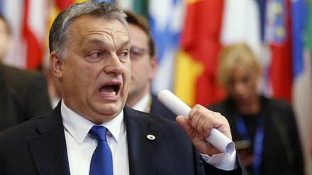Viktor Orban und Jaroslaw Kaczynski haben sich heimlich in den polnischen Bergen getroffen.