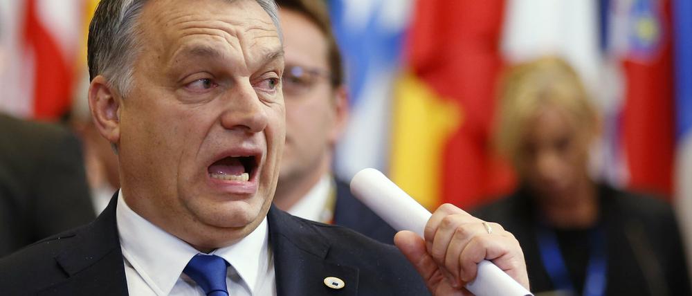 Viktor Orban und Jaroslaw Kaczynski haben sich heimlich in den polnischen Bergen getroffen.