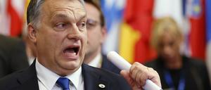 Viktor Orban und Jaroslaw Kaczynski haben sich heimlich in den polnischen Bergen getroffen.