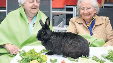 Herzhafter Neologismus. Hoppelfrühstück in einem Berliner Altersheim. Foto: dpa