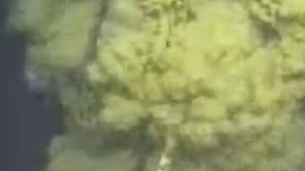 Das Öl quillt weiter. Das Live-Video von BP zeigt das Leck, aufgenommen am Donnerstag von einem ferngesteuerten Roboter. Foto: dpa