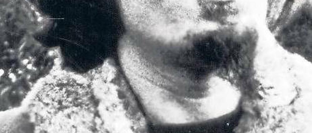 Verwegen. Don Van Vliet alias Captain Beefheart.