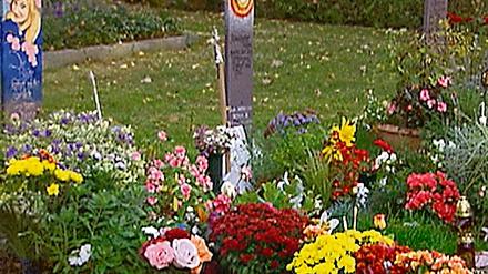 314345_0_5aba4532.jpg