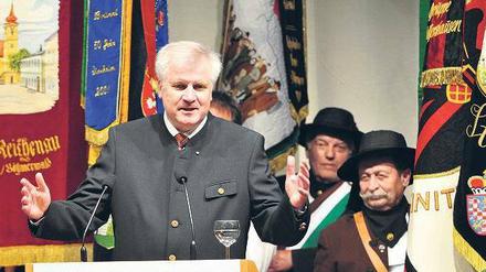 Schutzpatron. Der bayerische Ministerpräsident Horst Seehofer (CSU) im Mai 2009 bei einer Kundgebung der Sudetendeutschen in Augsburg. Foto: Stefan Puchner/dpa