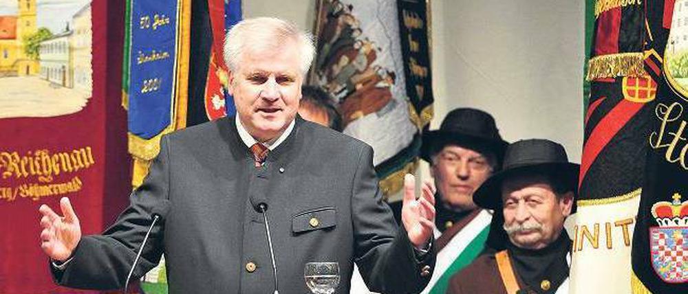 Schutzpatron. Der bayerische Ministerpräsident Horst Seehofer (CSU) im Mai 2009 bei einer Kundgebung der Sudetendeutschen in Augsburg. Foto: Stefan Puchner/dpa