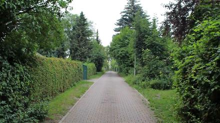 Der Weite Blick am Südhang des Windmühlenbergs.