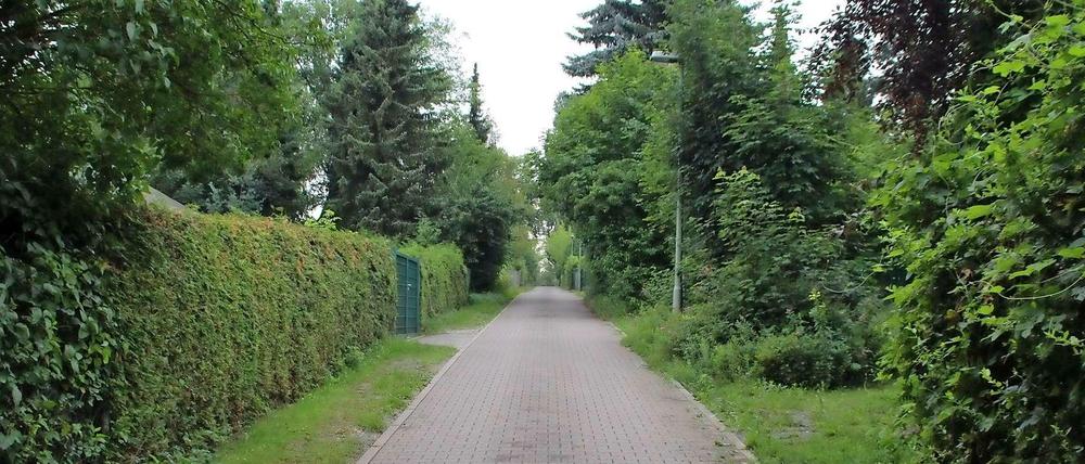Der Weite Blick am Südhang des Windmühlenbergs.