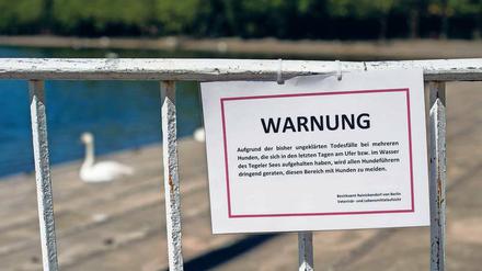 Gefahr am Ufer. Die Warnung wurde am Mittwoch größtenteils zurückgenommen.