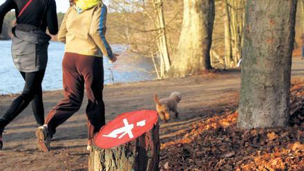 Ja, das gilt! Und zwar auch für kleine, wuschelige, niedliche Exemplare. Die meisten Besucher des Schlachtensees halten sich – anders als hier zu sehen – an das Verbot.