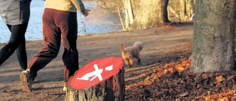 Ja, das gilt! Und zwar auch für kleine, wuschelige, niedliche Exemplare. Die meisten Besucher des Schlachtensees halten sich – anders als hier zu sehen – an das Verbot.