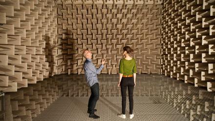 "... ... ... ..." Im schalltoten Raum des Instituts für Strömungsmechanik und Technische Akustik an der Technischen Universität schlucken Schaumstoffkeile den Schall.