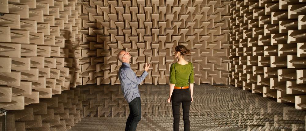 "... ... ... ..." Im schalltoten Raum des Instituts für Strömungsmechanik und Technische Akustik an der Technischen Universität schlucken Schaumstoffkeile den Schall.