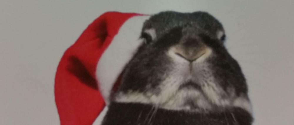 Na dann, frohe Ostern und ein frohes Neues!