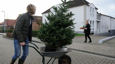 Kersten Scholz von der Baumschule Scholz im Ammerland liefert einen Leih-Weihnachtsbaum mit Blumentopf an eine Kundin in Rastede (Niedersachsen) aus. Erstmals setzt die Baumschule auf Nachhaltigkeit beim Weihnachtsbaumgeschäft. Sie verleiht die Tannen und liefert sie an die Kunden im Topf aus. Nach dem Fest werden die Bäume abgeholt und wieder in der Tannenschonung eingepflanzt.