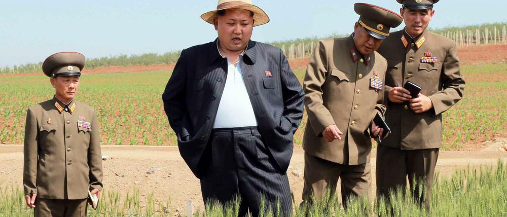 Nordkoreas Staatschef Kim Jong Un besichtigt auf diesem offiziell herausgegebenen Foto eine Farm an einem nicht näher bezeichneten Ort. 