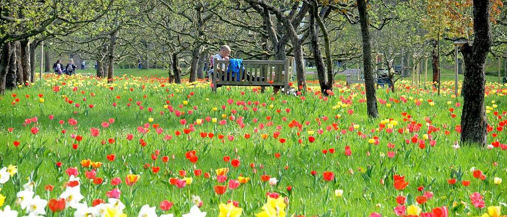 Idylle zwischen Blumen und Obstbäumen: Im Britzer Garten lässt es sich aushalten.