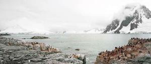 Hans-Christian Schink: Antarctica (3), 2010. 