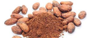 Kakaobohnen -der Rohstoff für feine Schokolade.