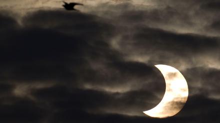 Sonnenfinsternis. 