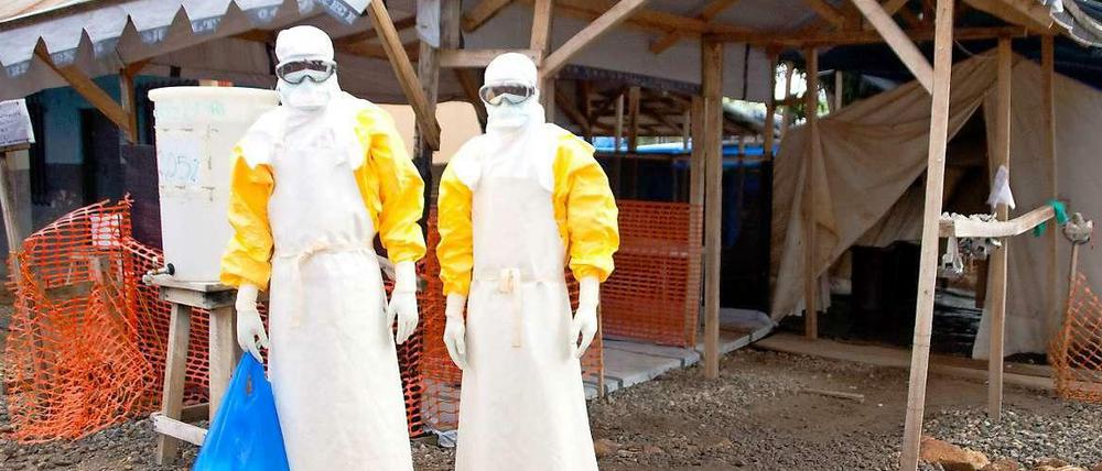 Zwei Helfer beseitigen womöglich infiziertes Material in Gueckedou in Guinea, der Region, in der das Virus vor einem Jahr erstmals aufgetreten ist, und von wo es sich vor allem in drei westafrikanischen Ländern rasant ausgebreitet hat.