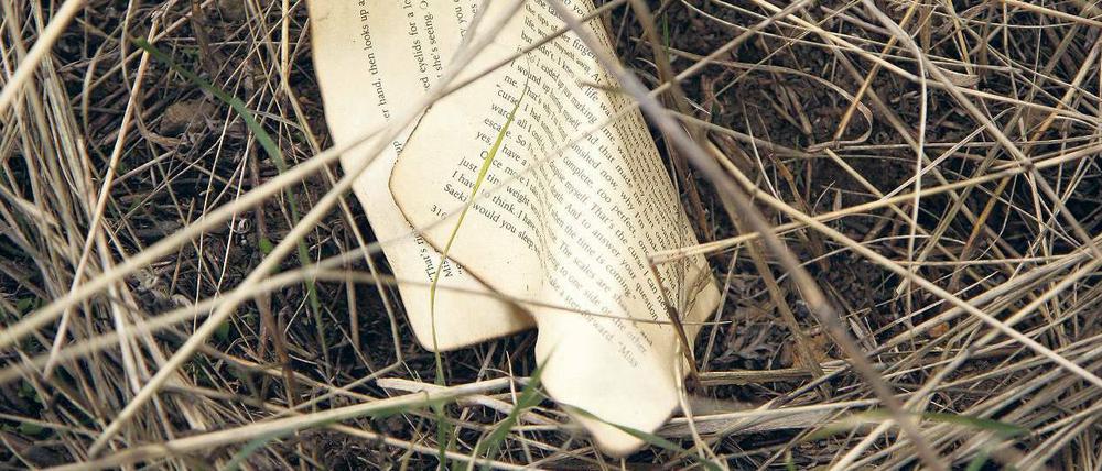 Stummer Zeuge. Diese Buchseite liegt noch immer zwischen den Trümmern von Flug MH 17. Ukrainer und Separatisten beschuldigen sich gegenseitig des Abschusses.