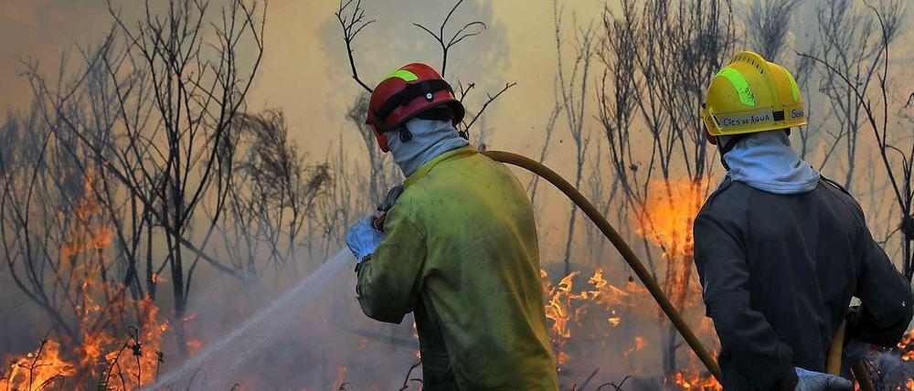 Vernichtet. Ein Feuer zerstört einen Wald in Portugal. Infolge des Klimawandels wird es künftig häufiger zu solchen Bränden kommen, vermuten Wissenschaftler.