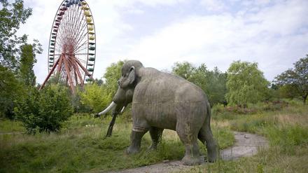 Einsames Mammut. Vielleicht ist die Eiszeit am Spreepark ja bald zu Ende.