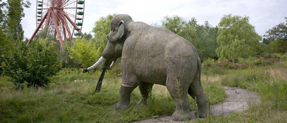 Einsames Mammut. Vielleicht ist die Eiszeit am Spreepark ja bald zu Ende.