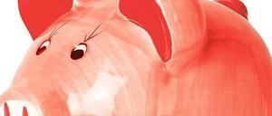 Reserven. Wer die ruhigen Tage für einen Finanzcheck zum Jahreswechsel nutzt, kann 2014 jede Menge Geld sparen.