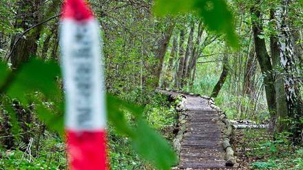 Der Knüppeldamm, ein Wanderweg zwischen Storkow und Wendisch-Rietz (Brandenburg): Wenige hundert Meter entfernt wurde am 5. Oktober 2012 ein Berliner Investment-Manager von seinem Entführer am Ufer der Storkower Sees zwischen Erlen und Morast gefangen gehalten. 