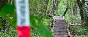 Der Knüppeldamm, ein Wanderweg zwischen Storkow und Wendisch-Rietz (Brandenburg): Wenige hundert Meter entfernt wurde am 5. Oktober 2012 ein Berliner Investment-Manager von seinem Entführer am Ufer der Storkower Sees zwischen Erlen und Morast gefangen gehalten. 
