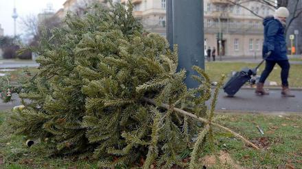 Berliner Grünstreifen. Ab Montag fährt die BSR durch die Bezirke. Wer seinen Termin verpasst: die BSR kommt noch mal wieder.