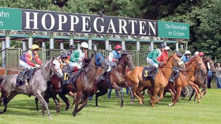 Kleines Wunder am Stadtrand. 2007 stand Hoppegarten vor dem finanziellen Kollaps. Inzwischen macht die Bahn sogar Gewinn. Foto: Imago