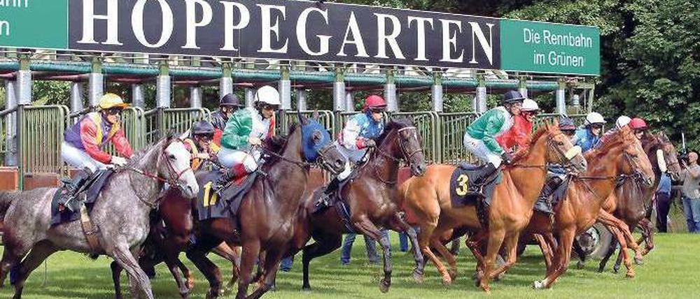 Kleines Wunder am Stadtrand. 2007 stand Hoppegarten vor dem finanziellen Kollaps. Inzwischen macht die Bahn sogar Gewinn. Foto: Imago